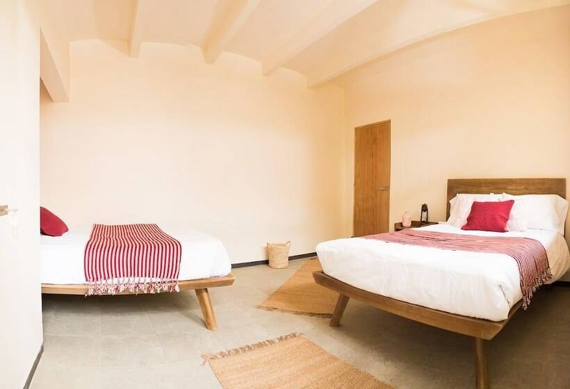 پانسیون Cactus