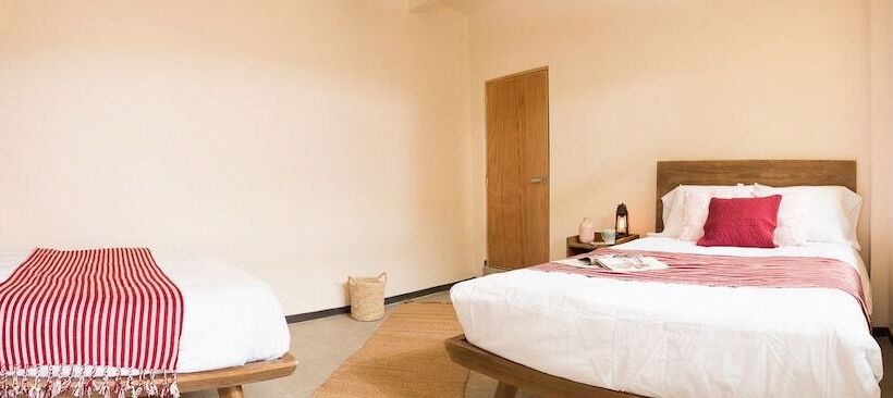 پانسیون Cactus