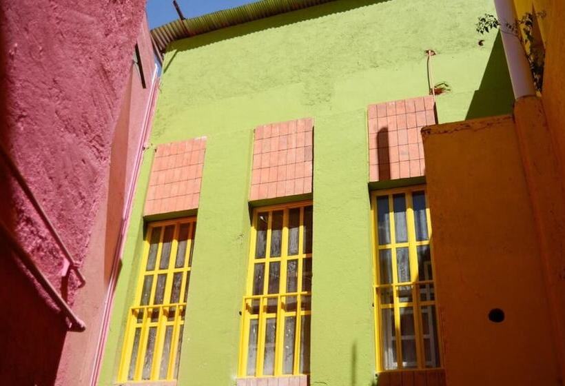 پانسیون Cactus