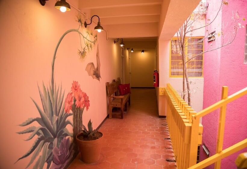 پانسیون Cactus