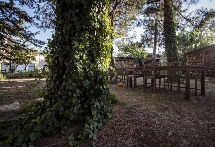 Hotelli Masseria Citulo Il Pino Grande