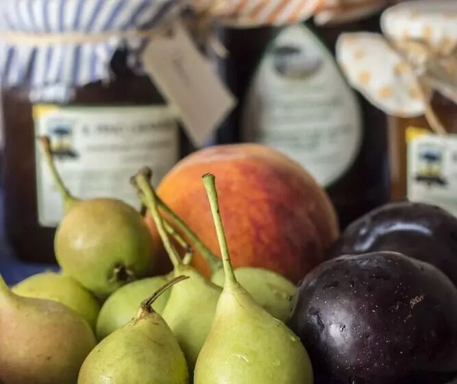 Hotelli Masseria Citulo Il Pino Grande