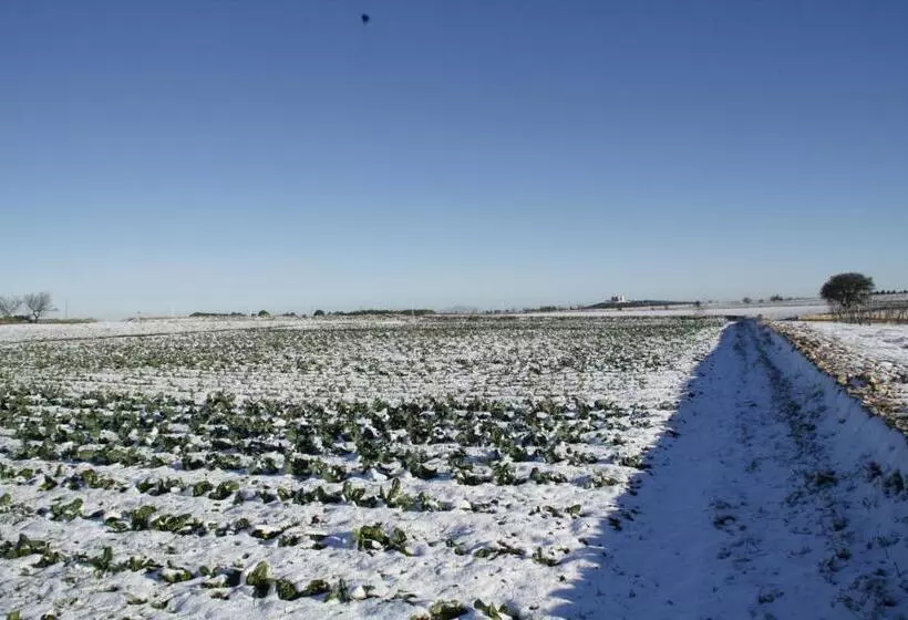 Hotelli Masseria Citulo Il Pino Grande