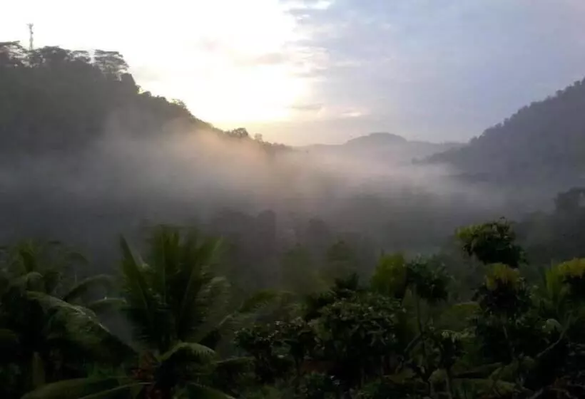 Hotelli Tea Garden Eco Villas