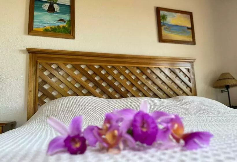 Hotelli Los Cielos Del Caribe