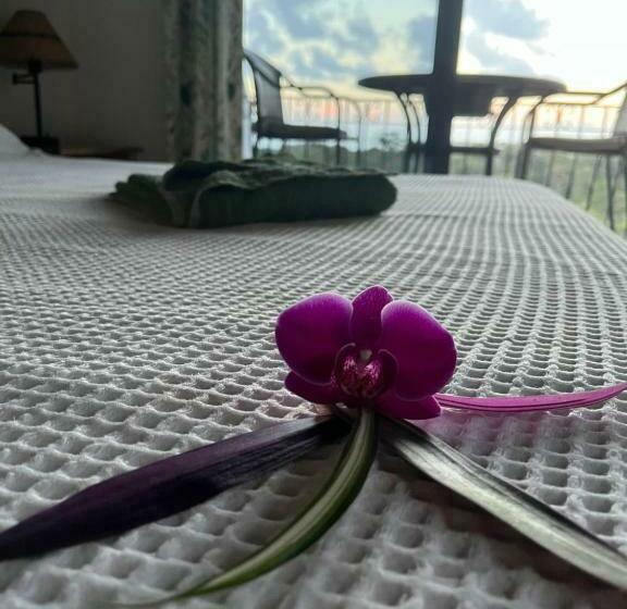 酒店 Los Cielos Del Caribe