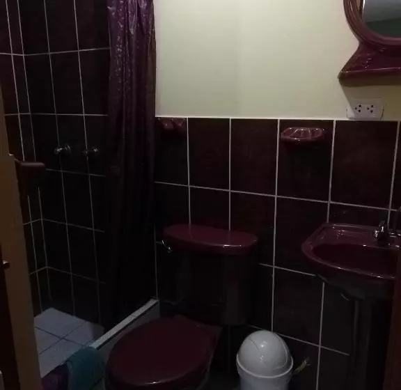 هاستل Scheler Artizon Trek`s House