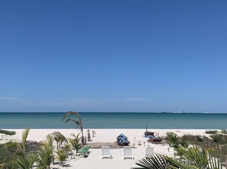 فندق Playa Arena