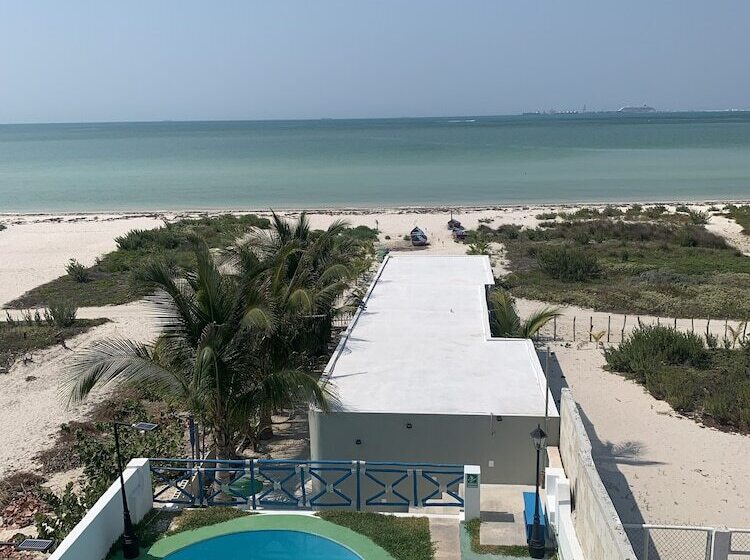 فندق Playa Arena