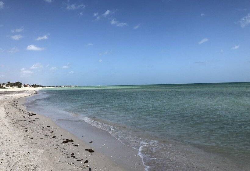 فندق Playa Arena