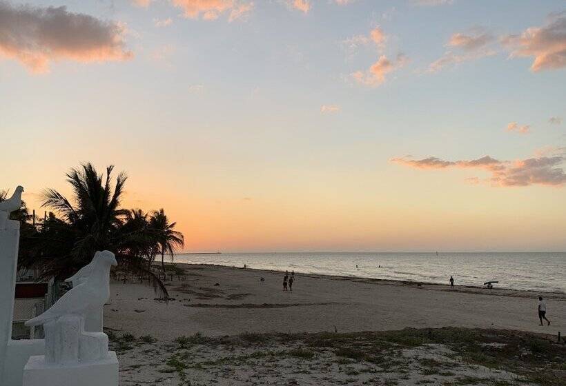 فندق Playa Arena