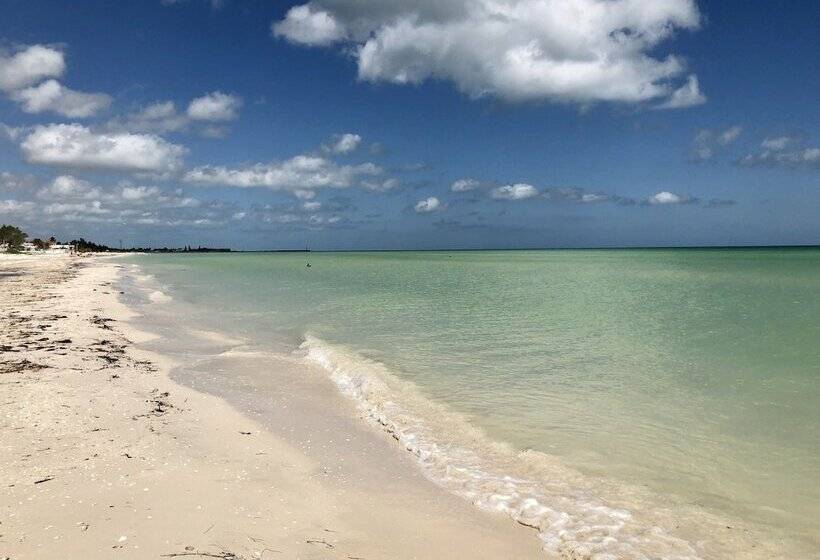 فندق Playa Arena