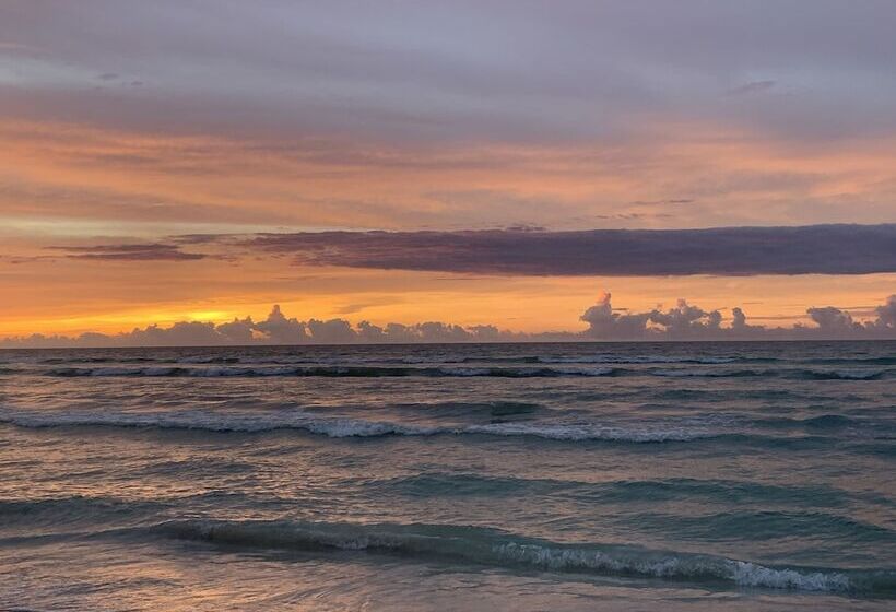 فندق Playa Arena