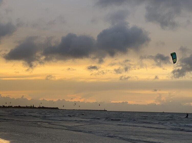 فندق Playa Arena