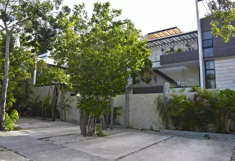 Luxury Apartments At Aldea Zama