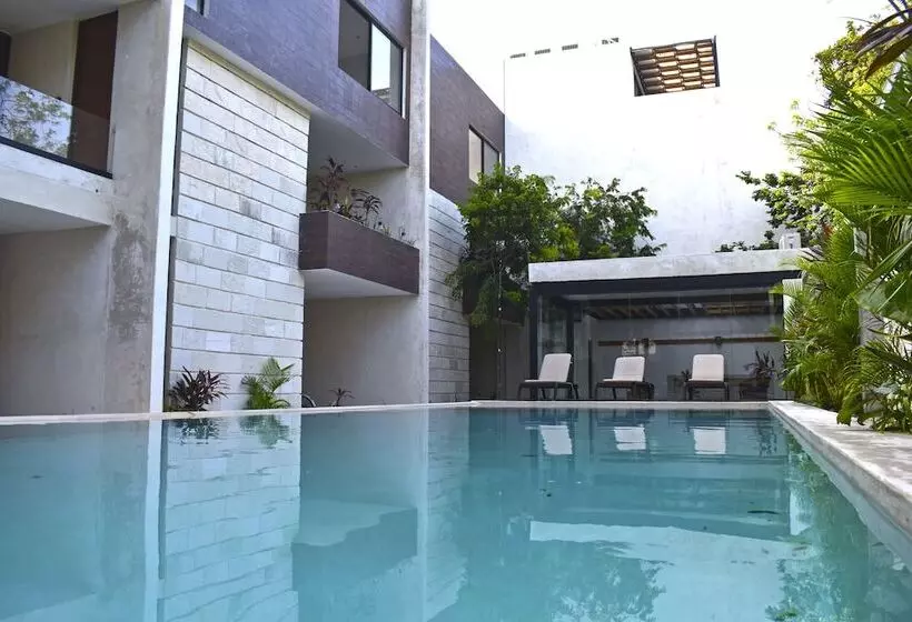 Luxury Apartments At Aldea Zama