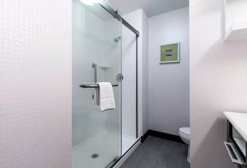 Hotelli Hampton Inn Locust Grove