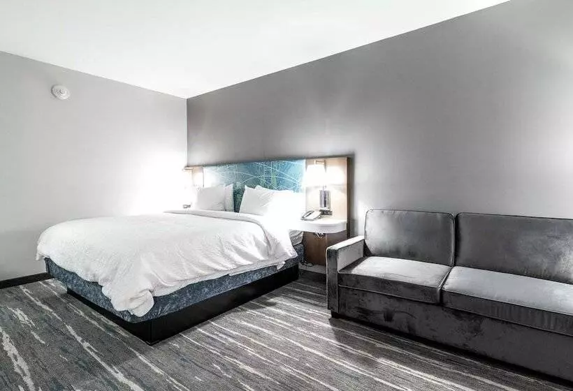 Hotelli Hampton Inn Locust Grove