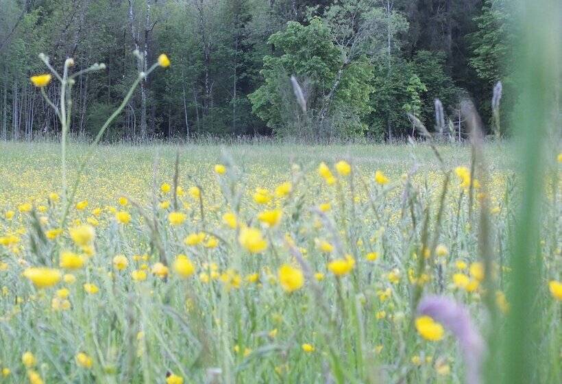 فندق Rait´ner Wirt