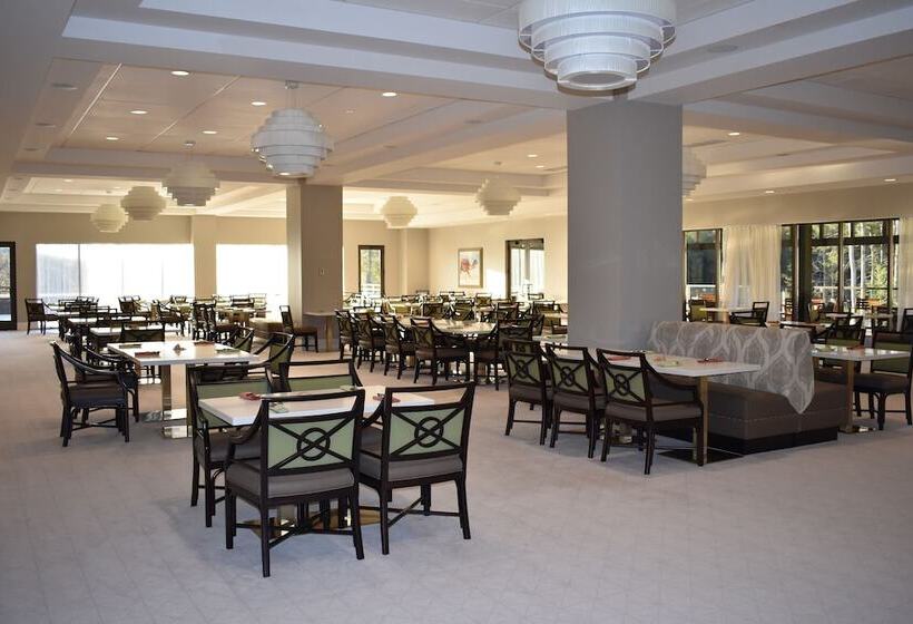 Yo1 Longevity & Health Resorts, Catskills