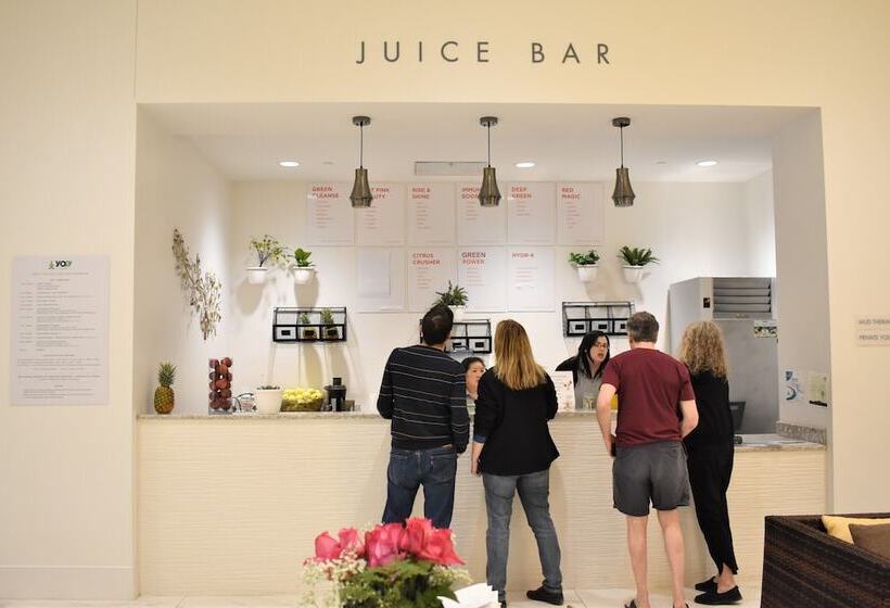 Yo1 Longevity & Health Resorts, Catskills