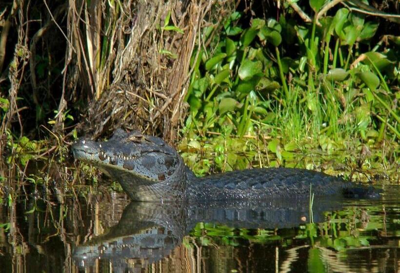 ユースホステル Hospedaje San Cayetano