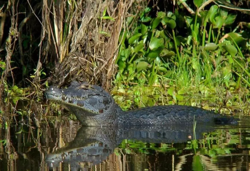 ユースホステル Hospedaje San Cayetano