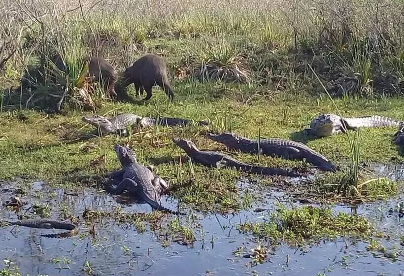 ユースホステル Hospedaje San Cayetano