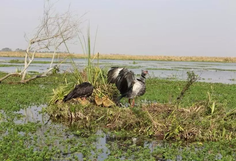 ユースホステル Hospedaje San Cayetano