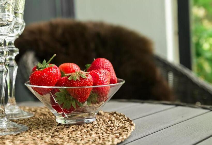 بنسيون Ingrids Apartments