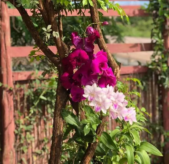 پانسیون Mama's Family Guesthouse