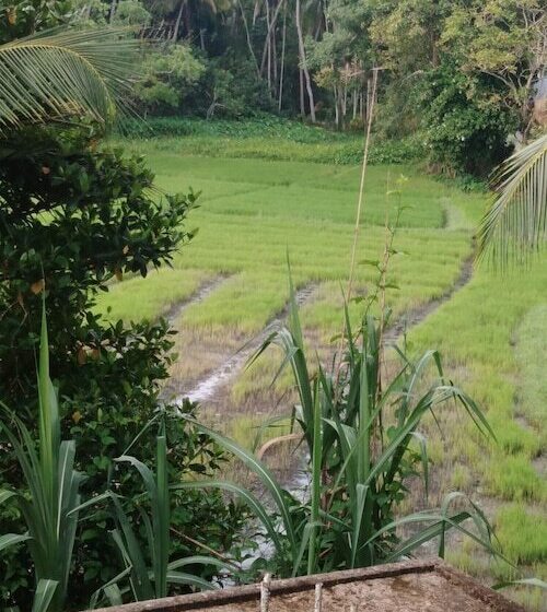 Bed and Breakfast Field Island Villa Ahangama