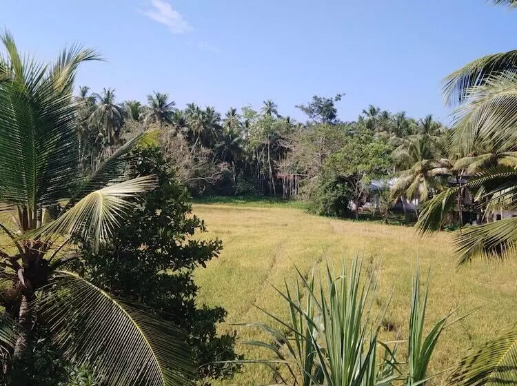 ベッドアンドブレックファースト Field Island Villa  Ahangama