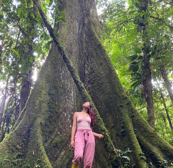 호텔 Heimatlos Amazon Lodge