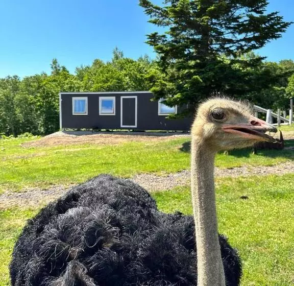 ホテル Margo S Garden Farmstay, Kiroro