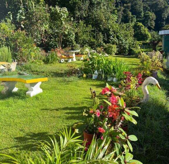 Pension Bambito´s Café & Hostel