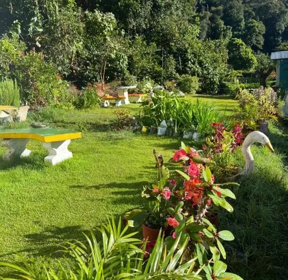 ペンション Bambito´s Café & Hostel