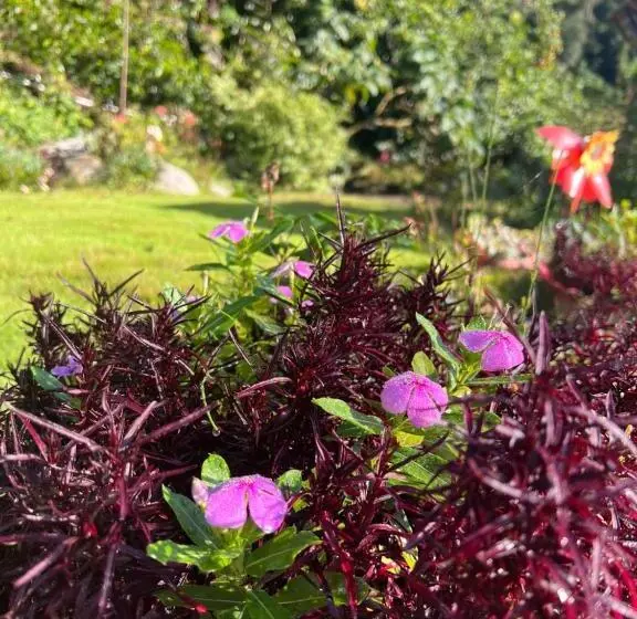 ペンション Bambito´s Café & Hostel