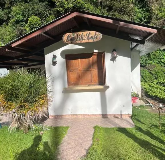 ペンション Bambito´s Café & Hostel