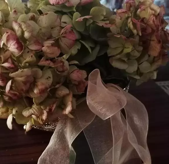 Hotelli Die Residenz