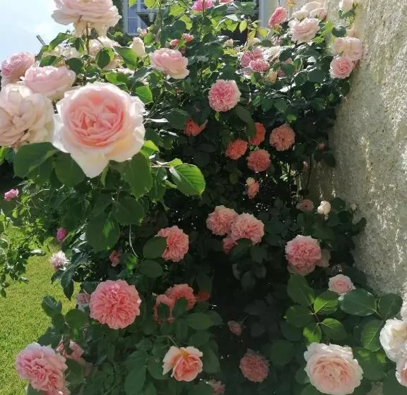 Hotelli Die Residenz