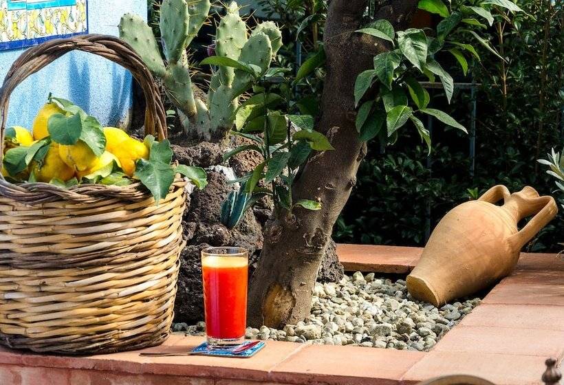 פנסיון Mediterranean Charm