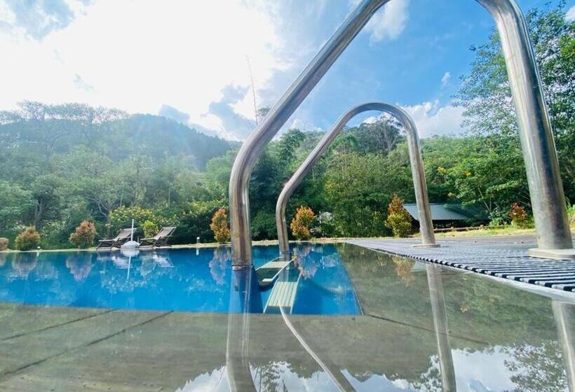 Aloft Grand Hotel Ella