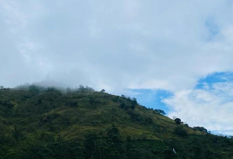 Aloft Grand Hotel Ella