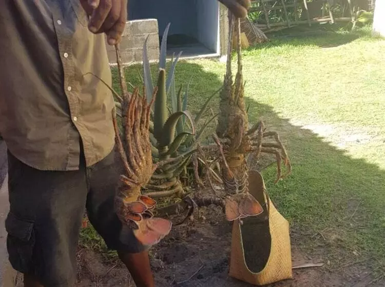 هتل Ravinala Anosy