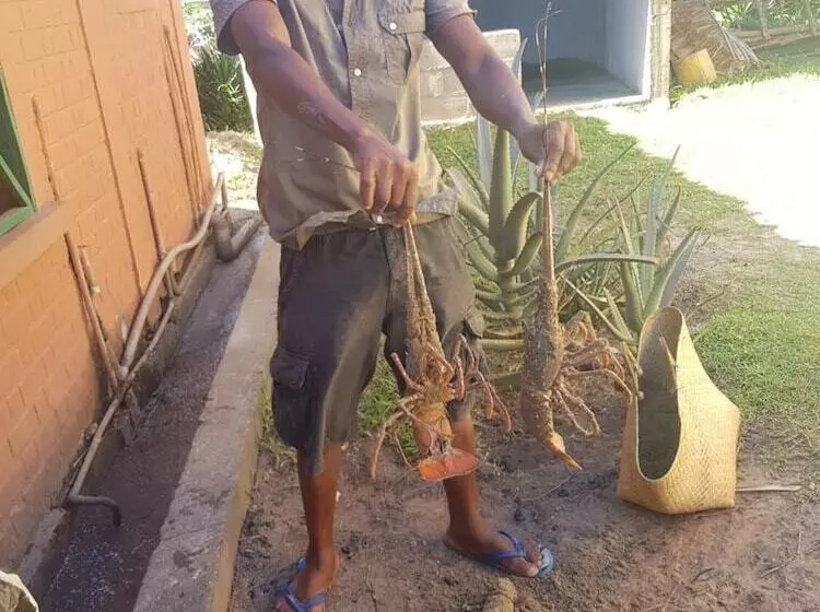 هتل Ravinala Anosy