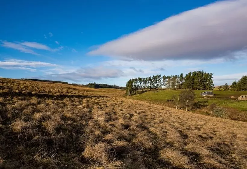 Majatalo Brown Rigg Guest Rooms