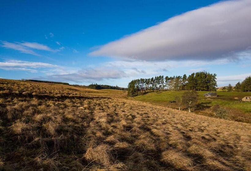 ペンション Brown Rigg Guest Rooms