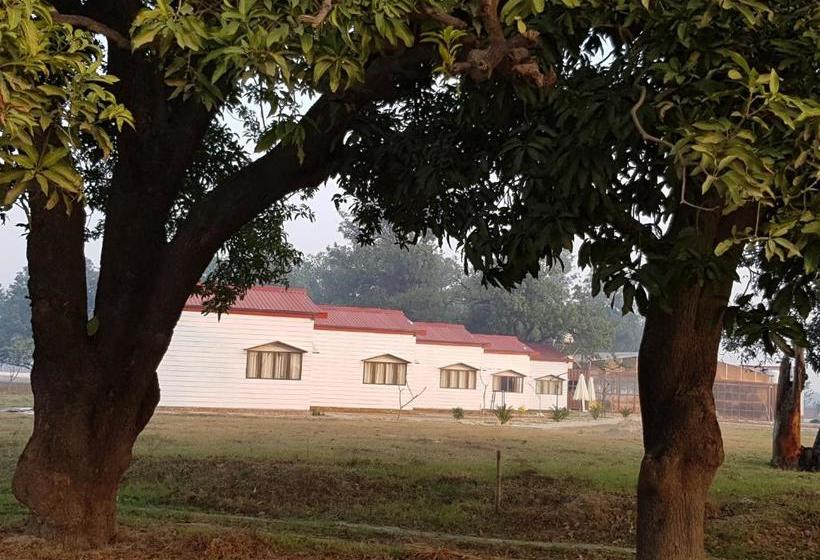 אתר נופש Living Green Farms