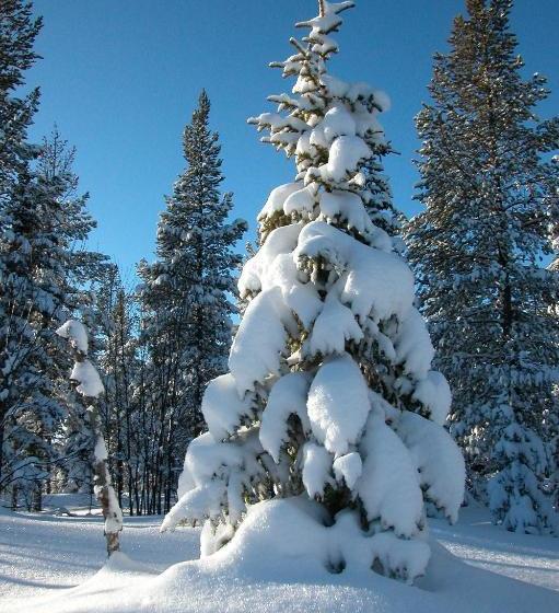 צימר Cafè Bistro Moccacino